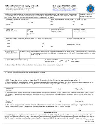 DOL Form LS 201