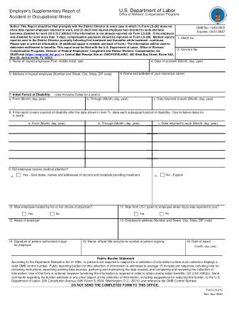 DOL Form LS 210