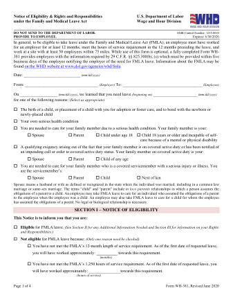 DOL Form WH 381