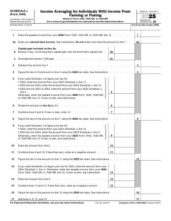 IRS Form 1040SJ
