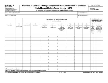 IRS Form 8992SA