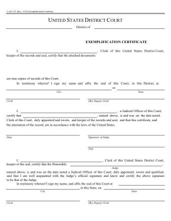 US Courts Form AO132