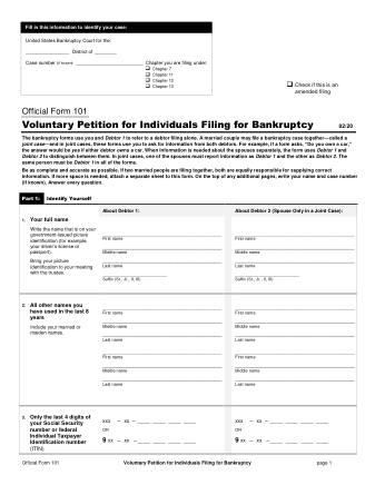 US Courts Form B 101 0220