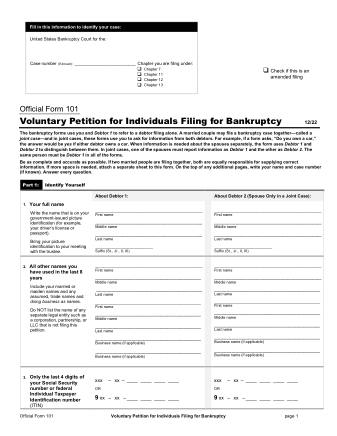US Courts Form B 101