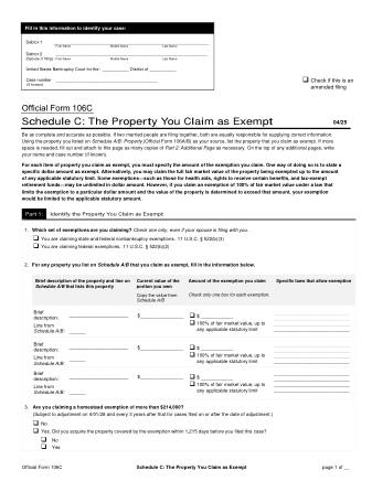 US Courts Form B 106C 0425 FORM