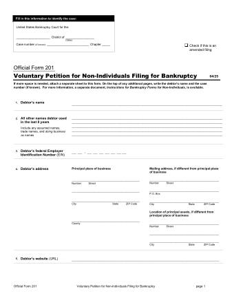 US Courts Form B 201 0425 FORM
