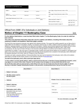 US Courts Form B 309E1 0220 0