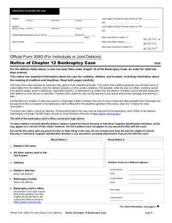 US Courts Form B 309G