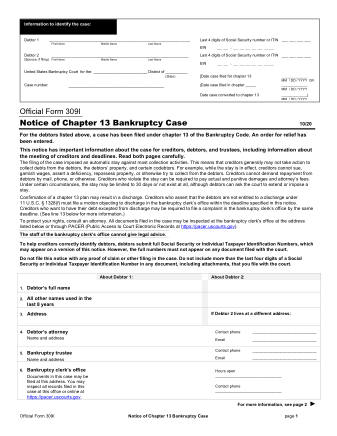 US Courts Form B 309I