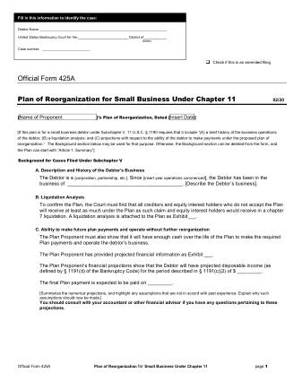 US Courts Form B 425A 0