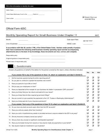 US Courts Form B 425C 1217