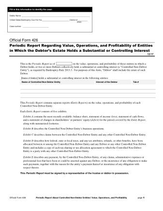 US Courts Form B 426 1217 0