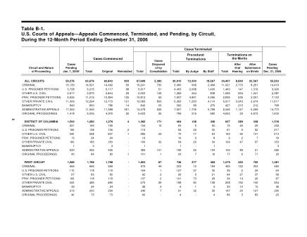US Courts Form B01DEC06